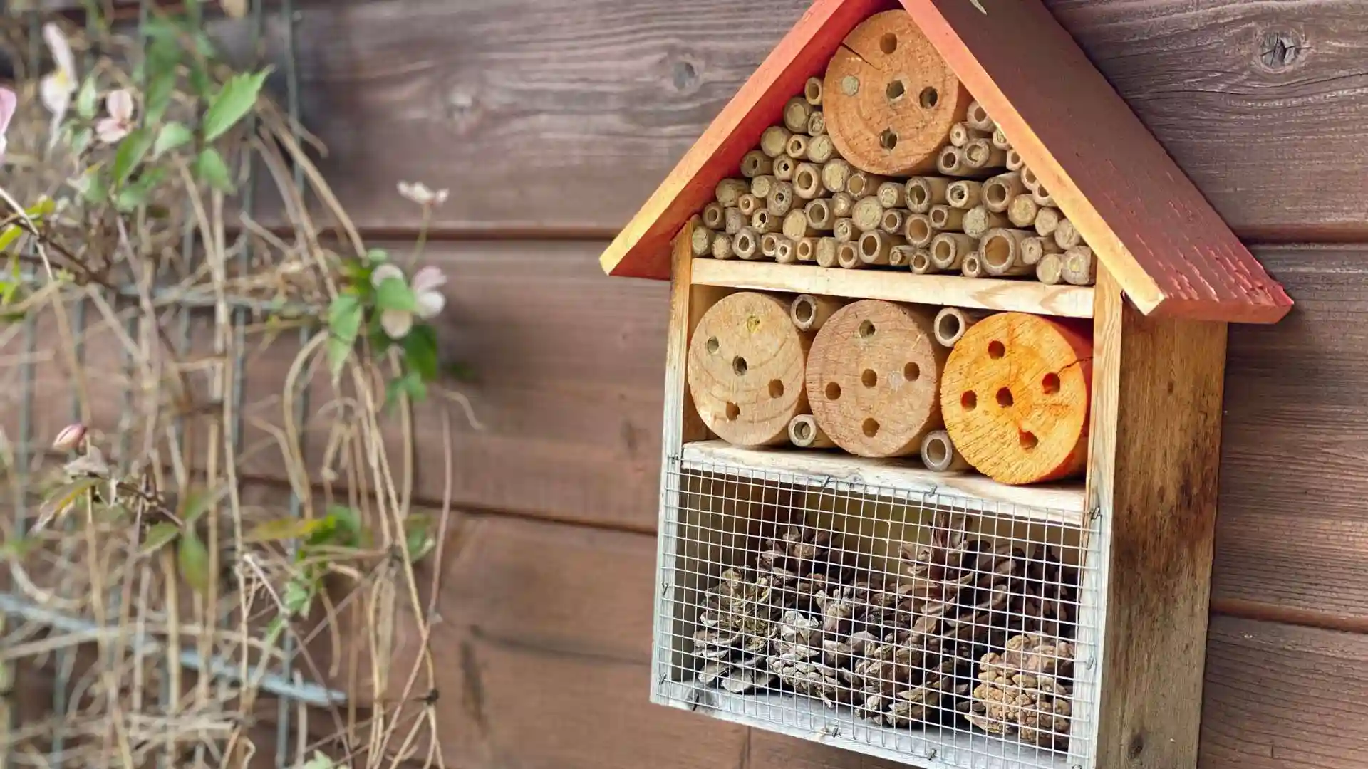 Firemní teambuilding, který lidi baví.
