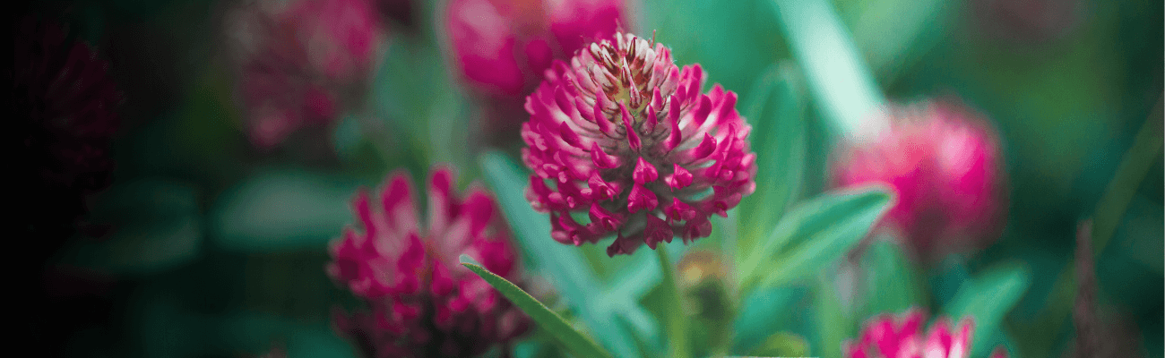 HR meeting 2026 Neformální setkání personalistů a&nbsp;HR manažerů